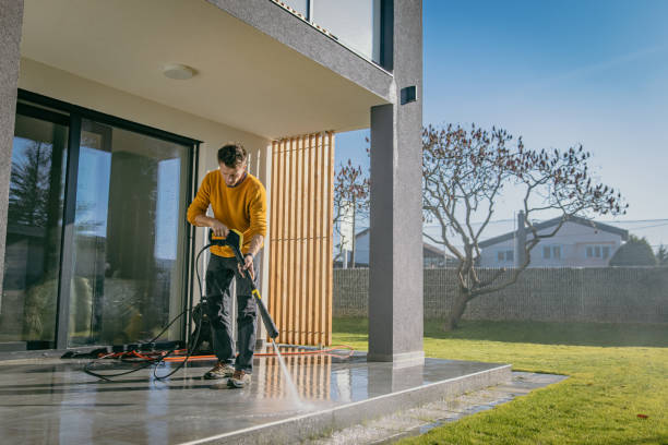 Best Pre-Holiday Cleaning  in Saugerties South, NY