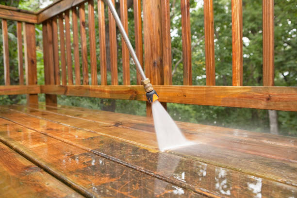 Best Driveway Pressure Washing  in Saugerties South, NY